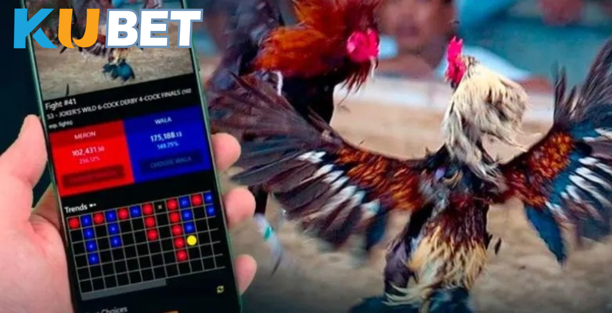 Tỷ lệ cược được cập nhật tự động, phù hợp với diễn biến trận đấu