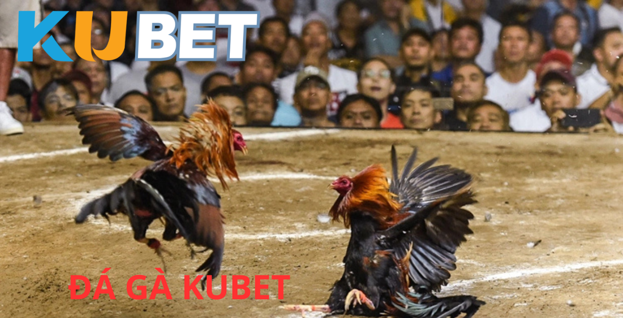 Trực tiếp 24/7 – Trận đấu liên tục không ngừng nghỉ